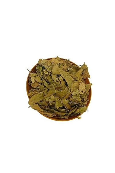 Z-CUP ورق جوافة وزن من 100 جرام