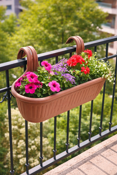 Empressco Büyük Balkon Saksısı Askılı Saksı Balkon Demirine Asılan Saksı 53cm...