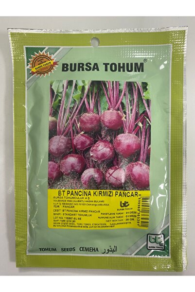 Bursa Tohumculuk Pancina Kırmızı Pancar Tohumu 25 gram