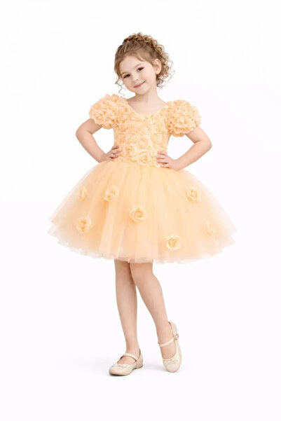 diamondstar Φόρεμα για κορίτσια με τριαντάφυλλα για πάρτι, γενέθλια και επίδε...