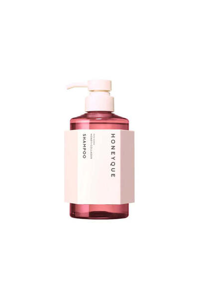 Honeyque Rich Gloss Shampoo – Moisturizing & Shine Repair Shampoo for Dry Hai...