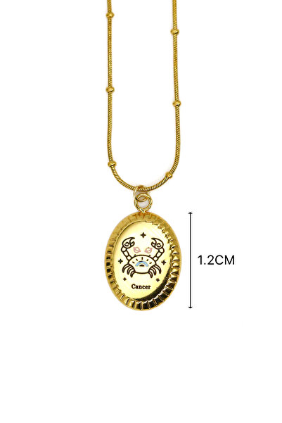 Nearsis Cancer Zodiac Steel Necklace with Twine Chain