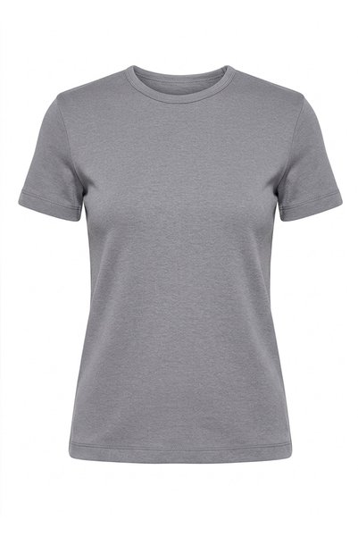 BRANDHILLS Gray Color Cotton Blend T-Shirt