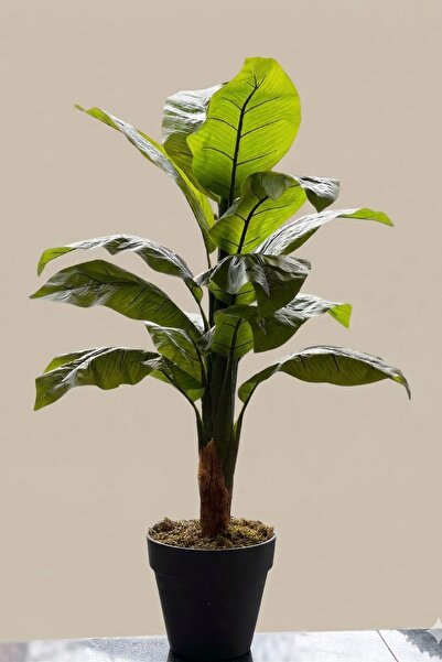 Güleç Yapay Çiçek Yapay Muz Ağacı Tek Gövde 120 cm
