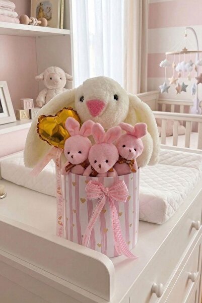 Sole Özel Kutuda Uyku Arkadaşı Bunny Peluş Tavşan ile Kız Yeni Doğan Hediye S...