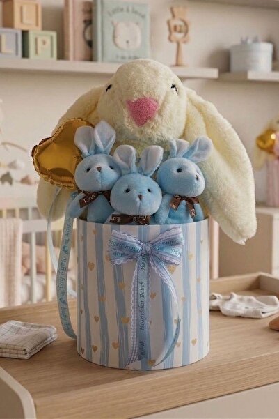 Özel Kutuda Uyku Arkadaşı Bunny Peluş Tavşan ile Erkek Yeni Doğan Hediye Seti | Babyshower, Yenidoğa