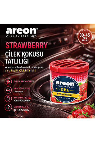 RAYMOOR Areon Gel Strawberry Araç Kokusu | Bardaklık Tipi Çilek Kokulu Uzun S...