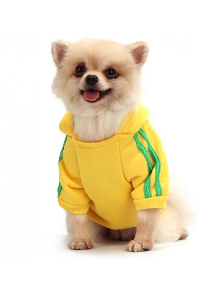 OEM QiCheng & LYS Μπουφάν σκύλου με κουκούλα, Πολυεστέρας/Βαμβάκι, Κίτρινο/Πρ...