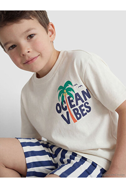 LC Waikiki Printed Boys' Shorts and T-Shirt