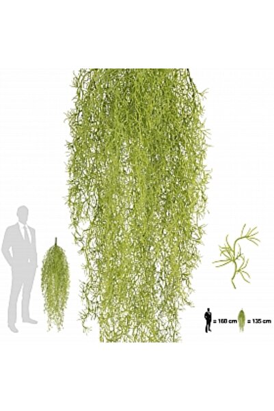Roberto Rossi Plantă cu păr lung (Tillandsia) 135 cm Verde de primăvară