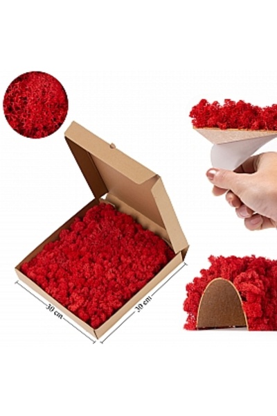 Roberto Rossi Licheni Pizza box