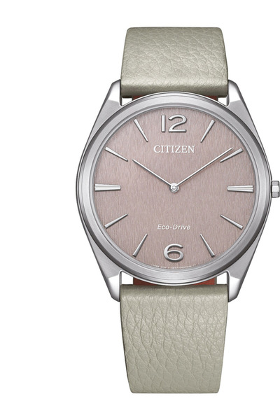 Citizen AR3120-41X