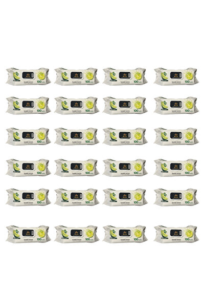 MOZAİC MAX Πακέτο Σετ Εσπεριδοειδών – 24x Υγρά Μαντηλάκια Λεμονιού 100 τεμάχια