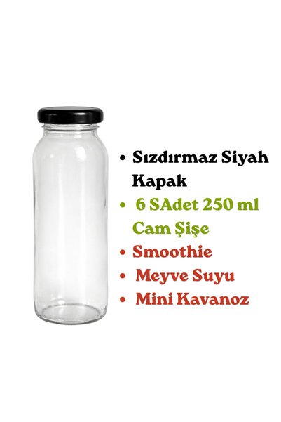 sara shoop Glass Bottle 250 ml Set of 6 – with Lid for Juice, Smoothie, Lemonade, Detox, Mini Jar