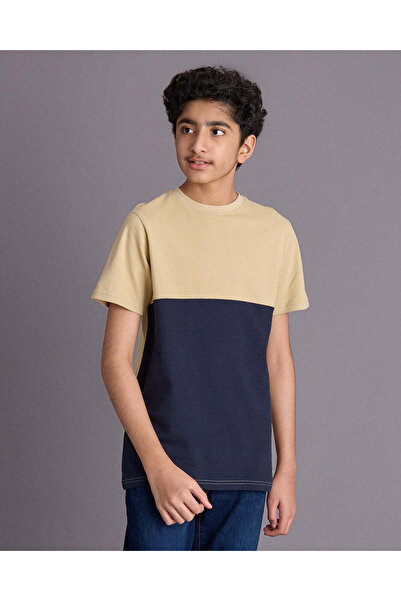 REDTAG Senior Boys Beige And Navy Cut And Sew T-Shirt