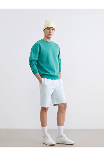 LC Waikiki Men's Regular Fit Shorts