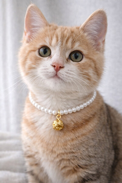 HALHALMILL Gold yumak dangle pearl cat necklace