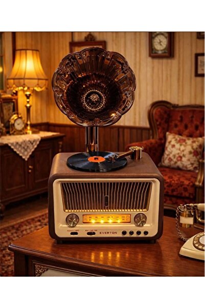 Everton Rt-608 Bluetooth Fm-Usb-Tf-Aux Şarjlı Nostaljik Radyo
