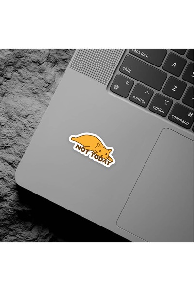 The Sticker Story. Not Today Sticker