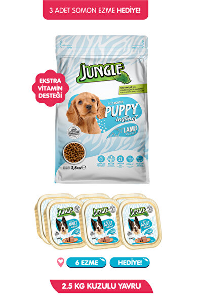 Jungle Yüksek Enerjili Yavru Köpek Maması 2.5 kg + 6 Adet 100gr Somon Ezme He...