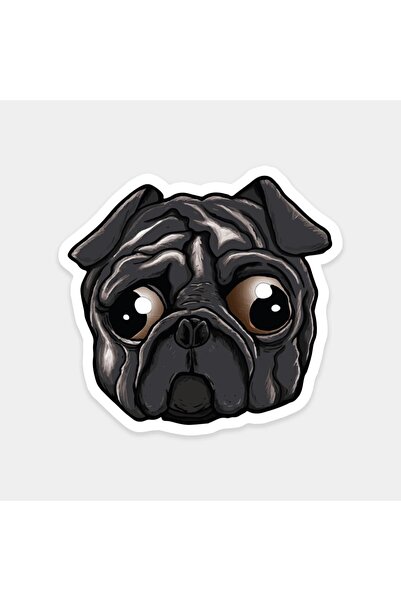 The Sticker Story. ملصق ديرتلي بوج
