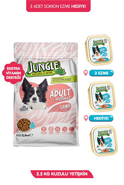 Jungle Yüksek Enerjili Kuzulu Köpek Maması 2.5 kg + 3 Adet 100gr Somon Ezme H...