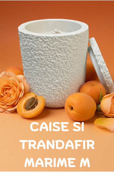 Zinelli Lumanare Parfumata Handmade din Ceara de Soia si Recipient ipsos - Petra