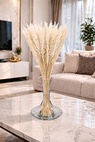 ÇINARASYADAHOME Mini Pampas Otu 30 Dal 50 cm Beyaz Renk Kuru Çiçek Demeti Dek...