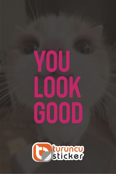 Turuncu Sticker You Look Good Sticker Label 10X15 cm Mirror - Glass – Vehicle...