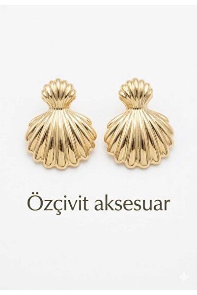 Butik Deniz kabuğu küpe xuping
