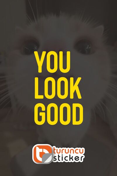 Turuncu Sticker ملصق YOU LOOK GOOD مقاس 10x15 سم للمرآة - الزجاج - السيارة - ...