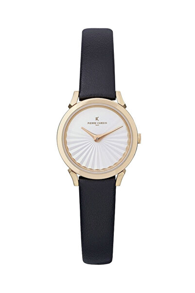 Pierre Cardin CPI.2501