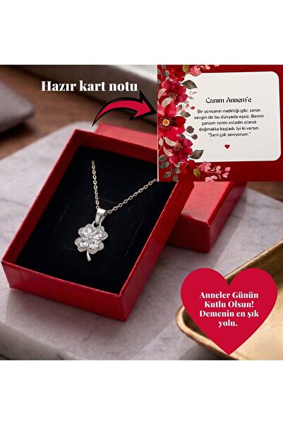 Pigna Aksesuar Mother's Day Gift Silver Color Steel Clover Necklace - with Sp...