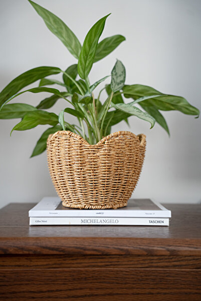 Dekorzdükkan Rattan Çiçeklik & Meyvelik Sepet