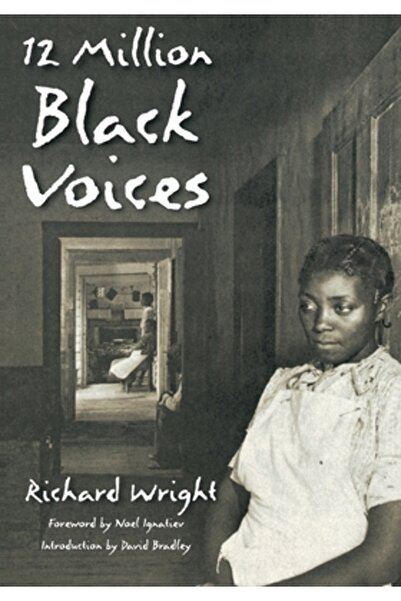 Basic Books 12 Million Black Voices