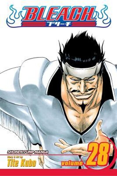 Viz Media Bleach Volumul 28