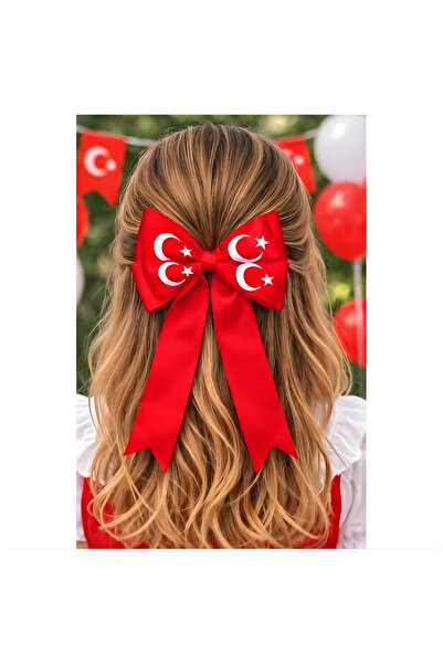RÖNESANS PARTİ Moon Star Flag Pen Clasp