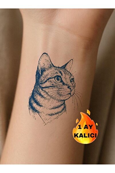 Mecit Tuhafiye 1 AY KALICI KEDİ GEÇİCİ DÖVME