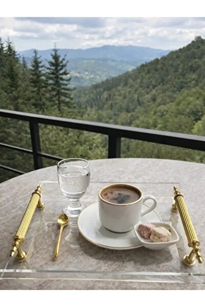 kesita Tasarım PLEKSİ GOLD KULPLU MİNİ TEPSİ .22X14 cm