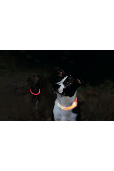 Trixie Φωτιζόμενο κολάρο LED XS-S 35 εκ./7 χιλ. Πορτοκαλί Με φόρτιση USB 12703