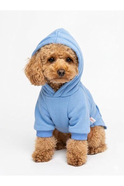 PetiliDünya Blue basic hoodie köpek kıyafeti kedi kıyafeti sweat