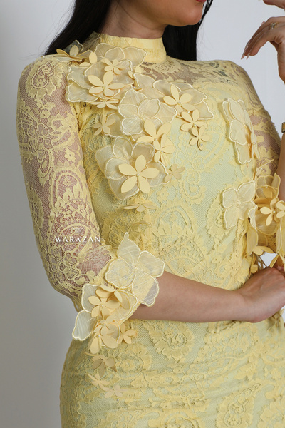 Bravo Long, soft, lace evening dress