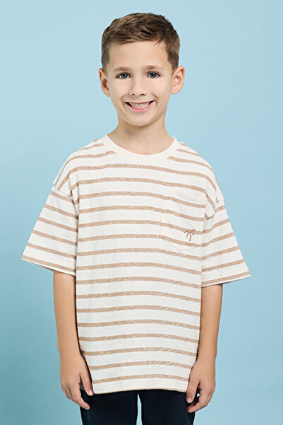 R&B Striped T-Shirt with Crew Neck and Short Sleeves