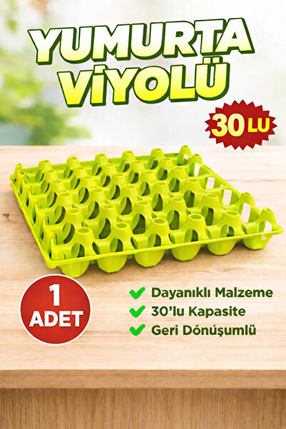 AN-GA AVM Yumurta Viyolü Plastik 30’lu, Yumurta toplama viyolü 1 Adet