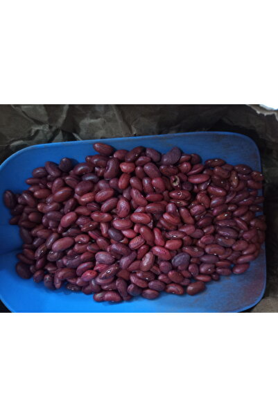 FİTO Pero sırık fasulye tohumu 500gram