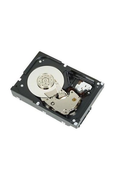 Dell 1TB 3.5" 11035C72ST-1T 7200RPM Enterprise Sata-3 Nas ve Güvenlik Diski