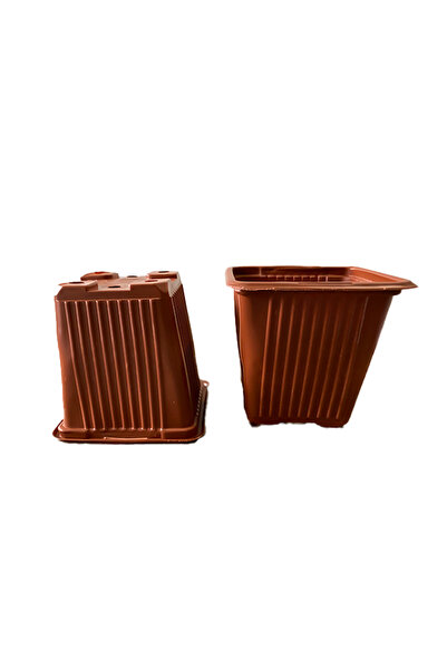 AGROERA Plant Nutrition Kare Saksı 8x8x7 Cm 50 Adet Kare Vakum Saksı Üretim S...
