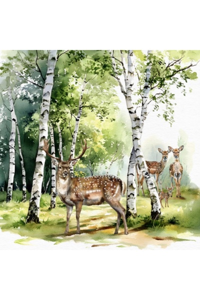 Ti Flair BIRCH FOREST DESENLİ KAĞIT PEÇETE