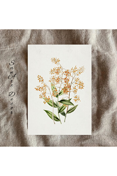 Sanart Βίντατζ αφίσα, Αφίσα με λουλούδια, Καλλιτεχνική εκτύπωση, Αφίσα τοίχου...