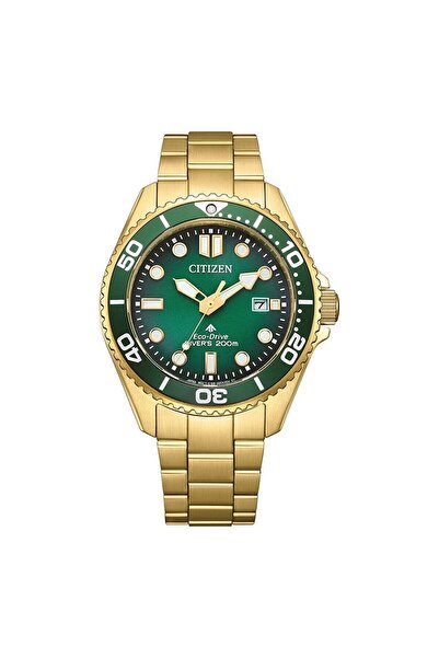 Citizen BN0262-59W Erkek Kol Saati